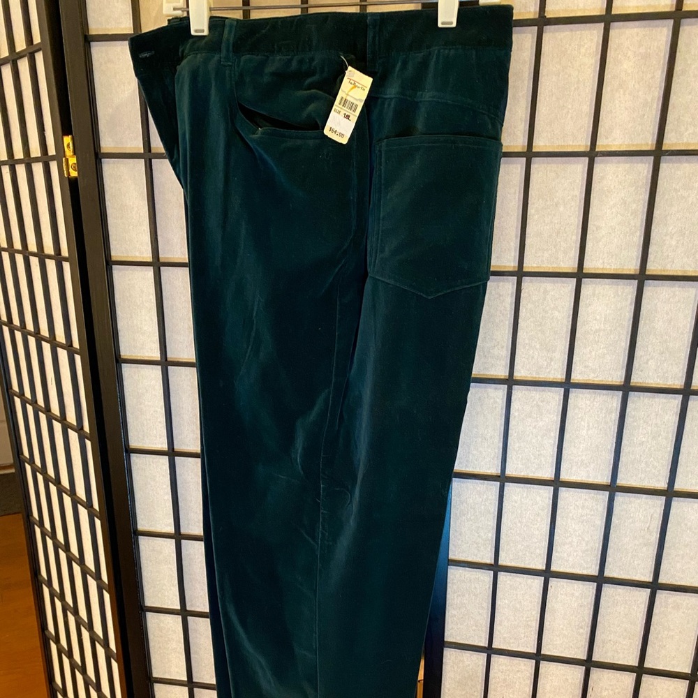 Unique velour high fashion jeans. Dress up or down. Perfect for events & office
